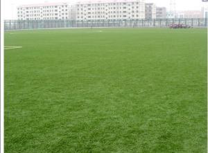 China Synthetic Soccer Field Grass factory