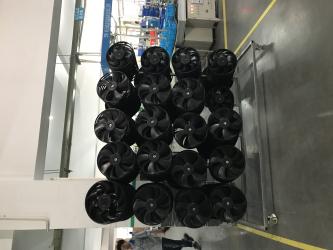 Shanghai Rego Import & Export Co. Ltd