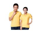 Design Your Own Election POLO T - shirt Campaign Solid Color / Printed Polo