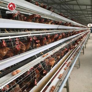 China 3-4 Tiers Battery Layer Chicken Cage For Laying Hens Farm ISO9001 Listed factory