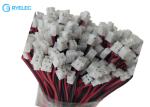 Professional Custom Wire Harness 2 Pin Jst PH 2mm Pitch Connector