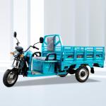 Steel 5 pieces DAYANG Electric Tricycle 3 Wheel Ev for Global Market Adults 1000