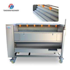 China Potato cleaning peeling machine taro peeling machine multi-functional horseshoe hair roller cleaning machine factory