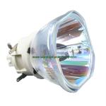 Philips DT02081 Original Bare Lamp Bulb for HITACHI CP-EW3015WN,CP-EW3551WN,CP