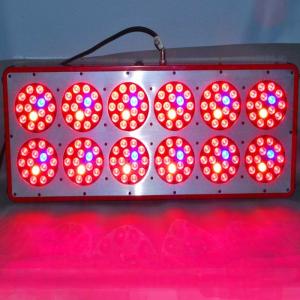 China Indoor garden plants led grow light with full spectrum, garden tools, extreme flower led g factory