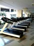 Walking Pad Treadmill Machine Heavy Duty Cardio Training 3.0HP Gym Equipment