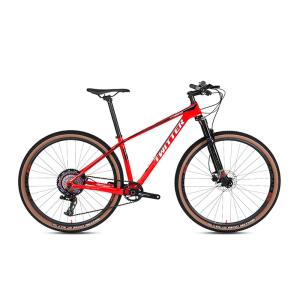 China 27.5 29 Inch Carbon Mountain Bike RS 13speed With Air Suspension Fork factory
