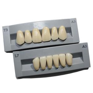 China High Durability Artificial Acrylic Teeth VITA High Stain Impact Resistance Heraeus Form factory