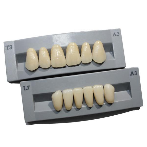 High Durability Artificial Acrylic Teeth VITA High Stain Impact Resistance