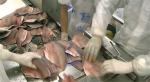 sardines, tilapia, squid, catfish peeling machine, hot-selling fish skin peeling