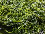 Dried Korean Kombu Kelp Sprouts Sea Vegetable Topped With Umami Flavor HACCP