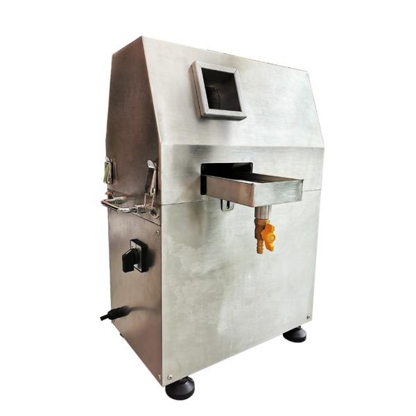 CE Industrial Electric Sugarcane Juice Extractor Machine Stainless Steel Food