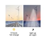 Anticorrosive Outdoor Solar LED Street Light Moistureproof Practical