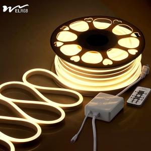 China Customizable Party Lights 110V-220V AC Waterproof LED Neon Lights with 120 LEDs/M factory