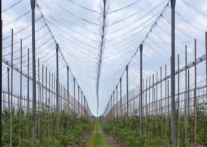 China 20 / 30 / 50 Mesh Insect Mesh Netting Lightweight Fruit Tree Cover factory