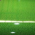 Z275 Prepainted Galvanized Steel coil / sheet