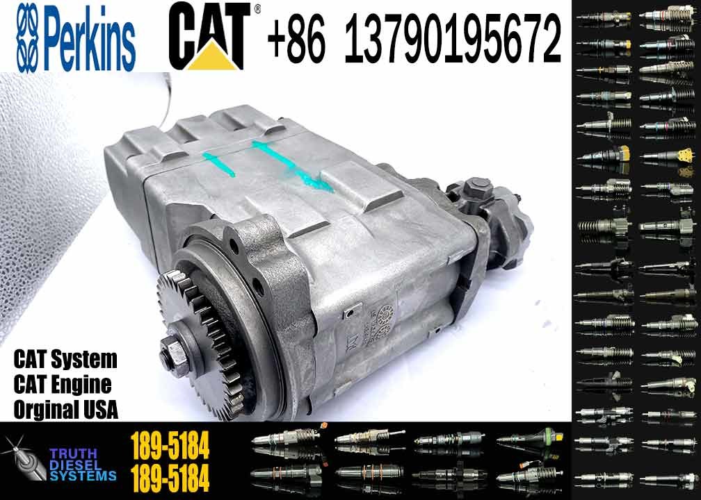 Diesel Fuel Injection Pump 189-5184 254-4357 for CAT C7 C9 Excavator E330D E336D E340DL