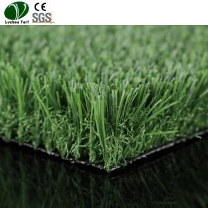 China Easy Drainage Synthetic Lawn Turf Grass Roll Natural Looking 9000Ddtex factory