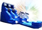 High Safety Outdoor Water Slide , Commercial Slip And Slide Dolphin Design Lead
