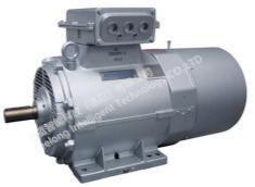 China Low Speed Performance High Accuracy 45KW 143Nm Electric Dynamometer factory