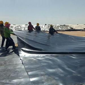 China Fish Shrimp Farming HDPE Geomembrane 0.5mm Polyethylene Liner Black Rolls Waterproof factory