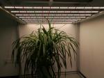 Horticulture Cultivation 2.5 µMol/J 1000watt LED Herb Grow Light