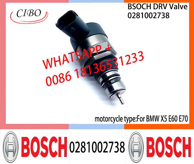 BOSCH DRV Valve 0281002738 Control Valve 0281002738 For BMW X5 E60 E70