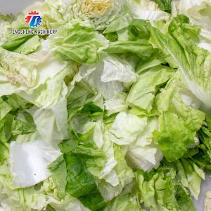 Extra-large widened leafy vegetable cutter Leafy vegetables Cabbage varieties