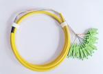 Machine Polishing 12F Fiber Optic Pigtail 0.9mm G657A1 Distribution Cable