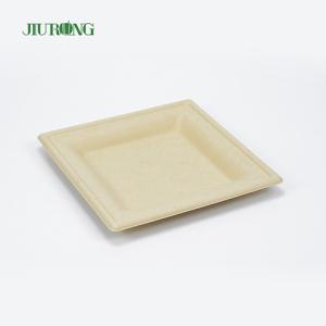 China Eco Friendly Disposable Sugarcane Food Container Biodegradable Bagasse Sushi Tray factory