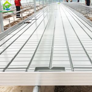 Ebb Flow Custom Double Layers Flood Grow Table Seedbed Rolling Bench Movable and