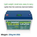 25.6V 52.8Ah Lifepo4 Golf Cart Battery 1351.68Wh Lithium Ion UPS