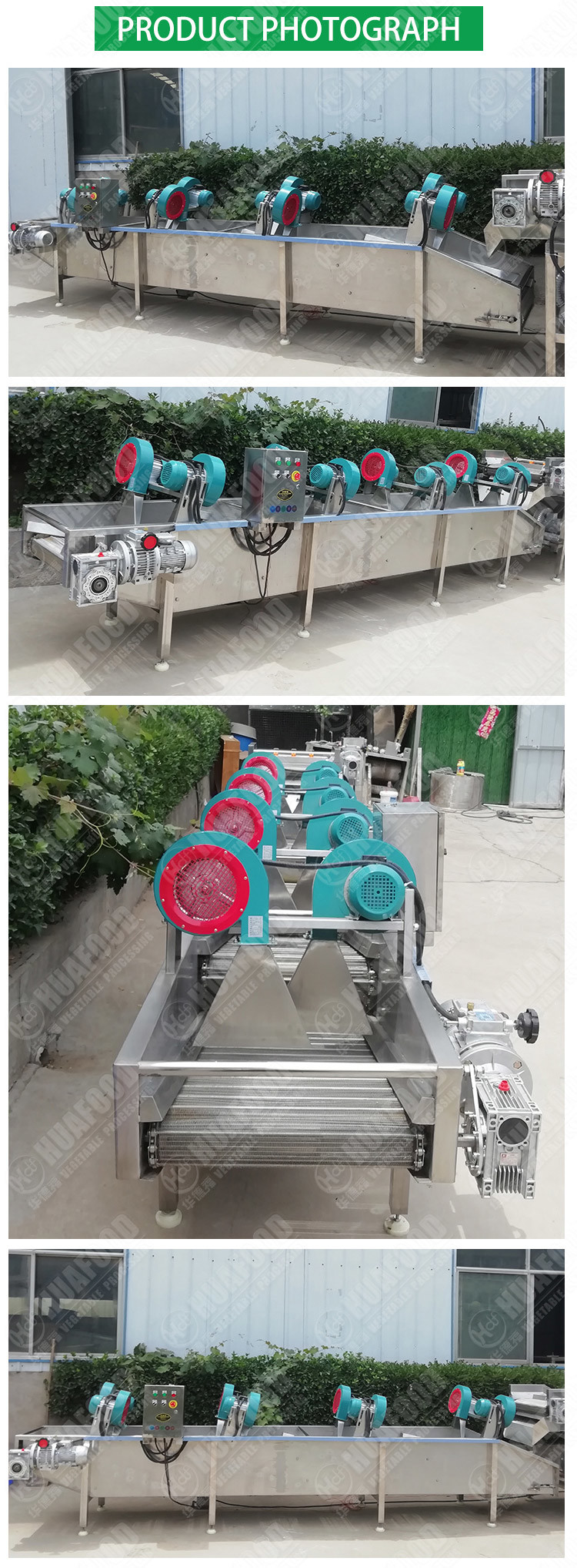 Automatic Fine Leaf Celery 500kg/h Cold Air Dry Fruit Machine