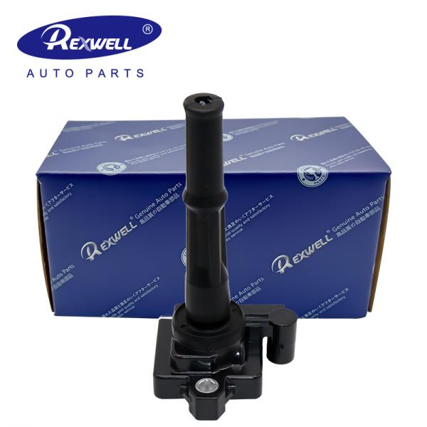 Auto Spare Parts OE 90919-02212 High Quality Automotive Car Engine Ignition