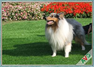 China Indoor Synthetic Pet Artificial Turf , Outdoor Carpet Grass Field Green / Apple Green factory
