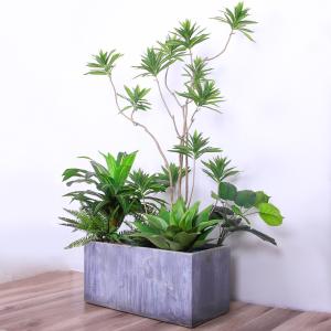 China Natural Wood Artificial Landscape Trees Lily Bamaboo For Home Decor Evergreen No Water factory