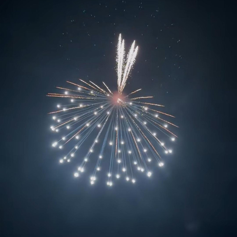 Chinese Factory 6'' Professional Display Fireworks Shell Pyrotechnics Supplies 1.3g Un0335 Pyrotechnics