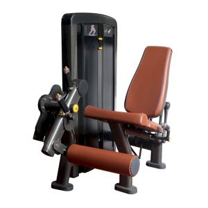 China CE Full Gym Equipment Muscle Leg Extension Curl Training Machine factory