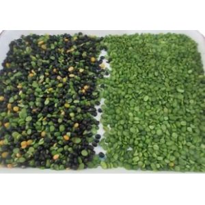 Customizable Dry Beans Gravity Separator Machine Coffee Bean Color Sorting And