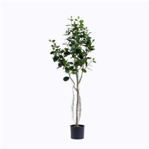 China Plastic Ficus Microcarpa Tree factory