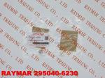 DENSO orifice plate 295040-6230 for 095000-5760, 095000-7500, 095000-8110,