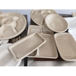 Automated Spray Coating System for Molded Pulp | Precision Internal Coating