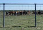 Welded Wire Cattle Fence Solid Structure Durable Life