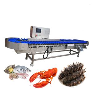 China 1000g Fish Seafood Fruit Conveyor Automatic Weight Sorting Machine factory