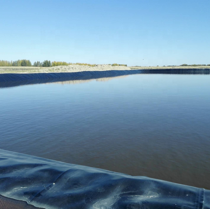 500 microns Dam Linings Prices HDPE Geomembrane Waterproof for Fish Farming Pond Liner