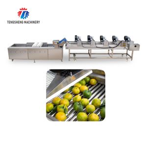 China Tengsheng High Voltage Spraying Fruit And Vegetable Processing Line Industrial residual degradation factory