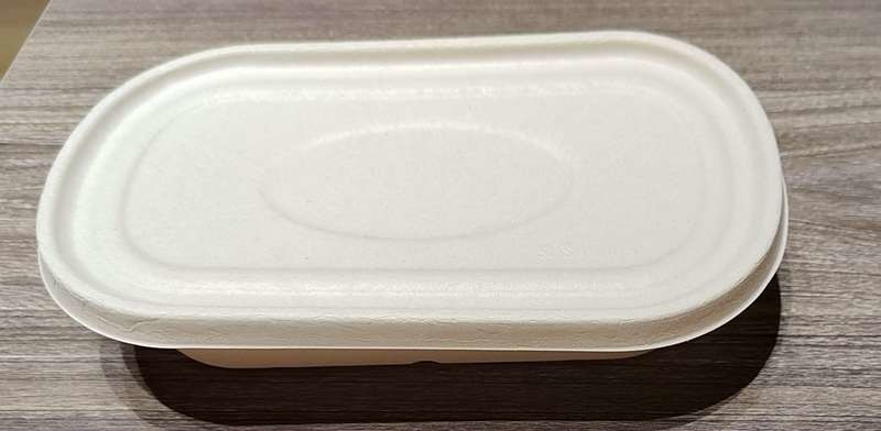 Eco Friendly Biodegradable Sugarcane Fiber Packaging 1100ml Custom Logo