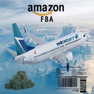 China Door To Door China To UK Amazon DDP Air Shipping factory