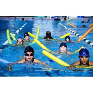 EPE Swim noodles Extrusion line(FC-90)