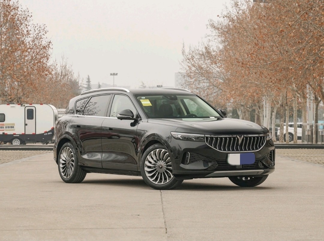 VOYAH Free Middle Large EV SUV NEDC 505km Range 360 Camera